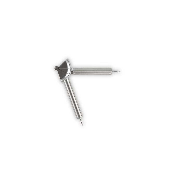 Stainless Steel Garlic Press