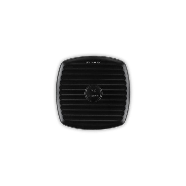 Panini Press