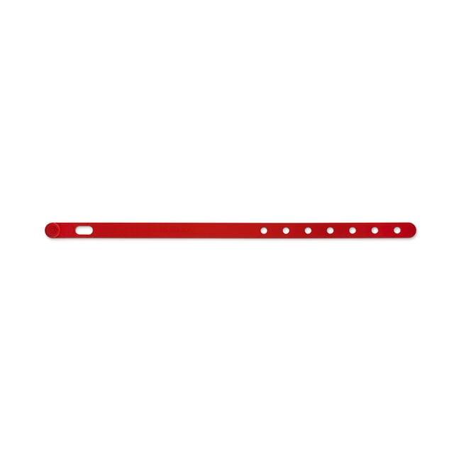 Silicone Travel LatchCerise