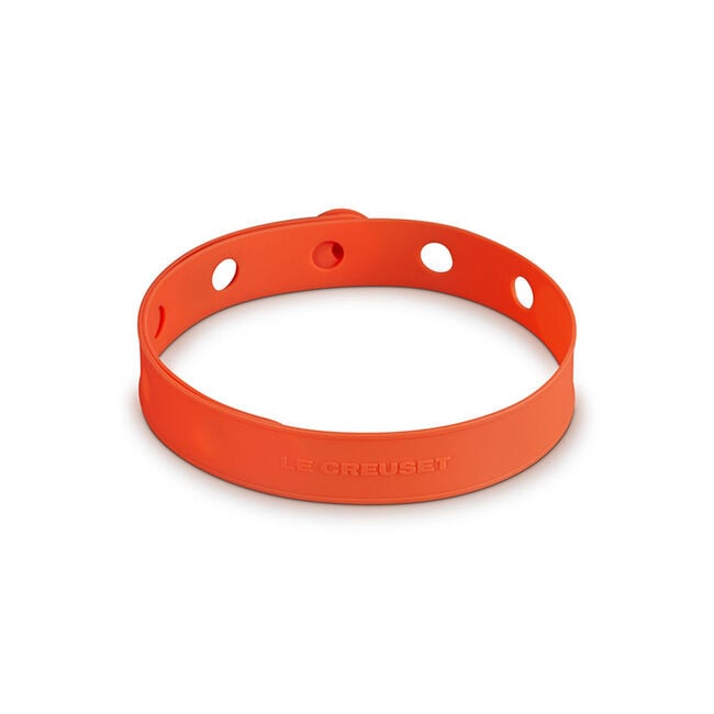 Silicone Travel Latch
