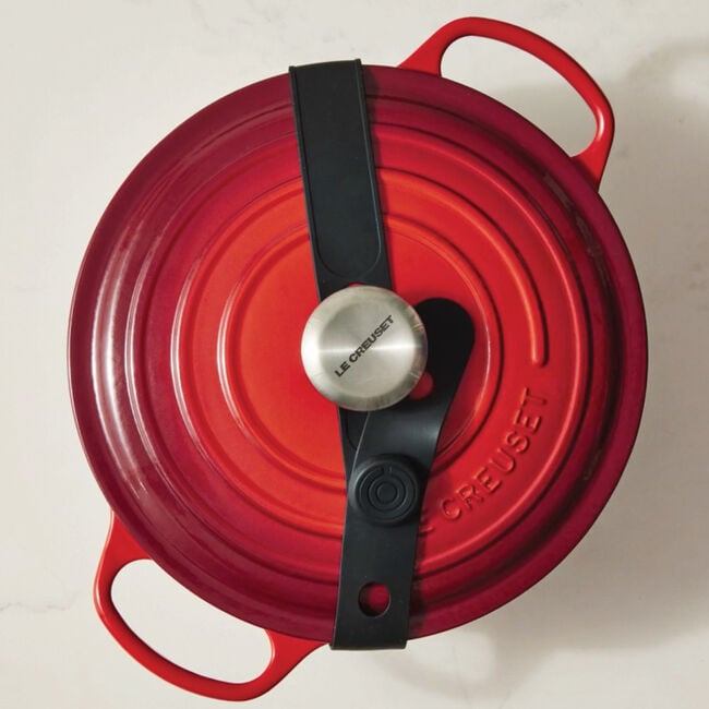 Silicone Travel Latch